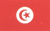 世界國旗-突尼斯.jpg